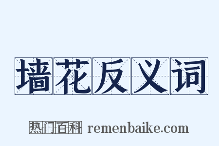 墙花反义词是什么意思的图片